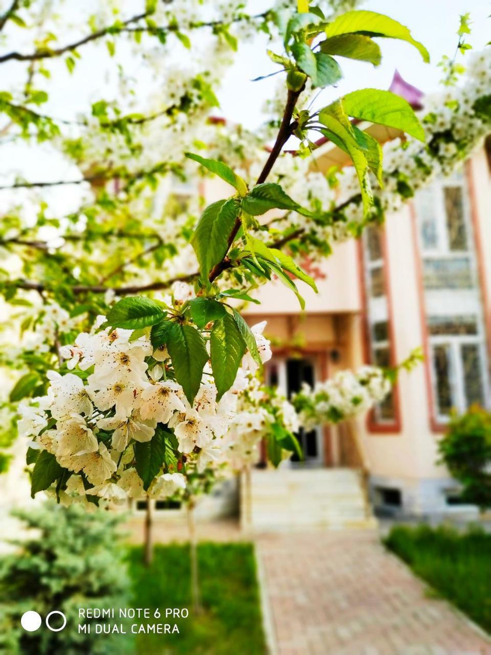 Rakat Inn Navigator Taskent Exterior foto